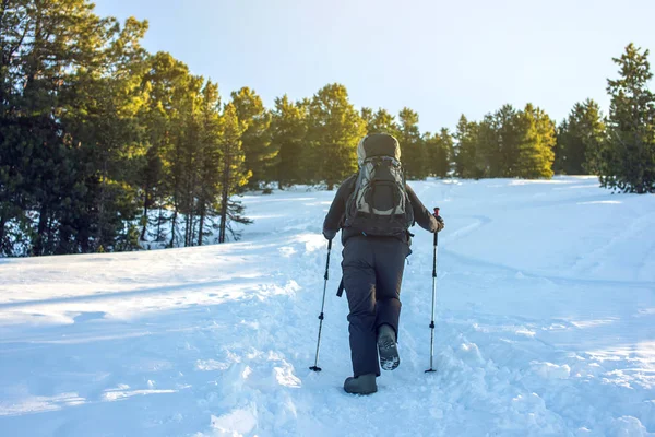 Hombre excursionista va en las montañas a través de la nieve — Foto de Stock