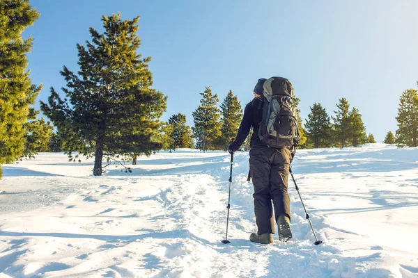 Hombre excursionista va en las montañas a través de la nieve — Foto de Stock