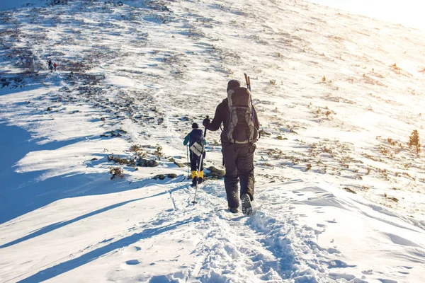 Caminhantes viajando em montanhas nevadas para o topo ao pôr do sol — Fotografia de Stock