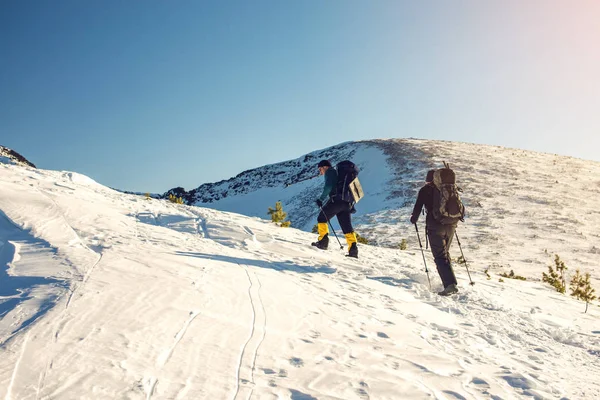 Excursionistas que viajan en las montañas nevadas a la cima al atardecer — Foto de Stock