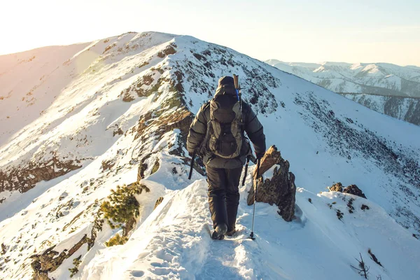 Vandrare som reser på snöiga bergen till toppen i solnedgången — Stockfoto