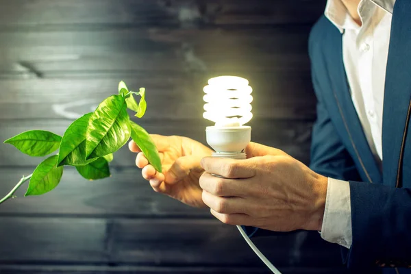 Hombre sosteniendo una luz brillante cerca del brote verde — Foto de Stock