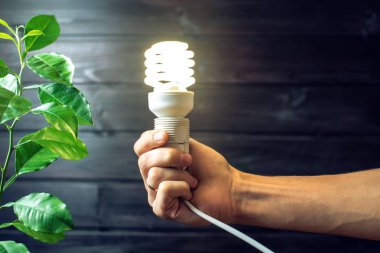 Ampul yeşil ağacının yanındaki tutan el