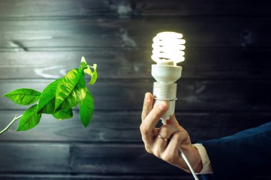 Ampul yeşil ağacının yanındaki tutan el