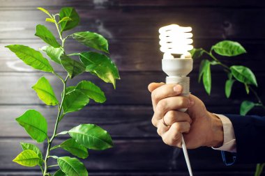 Ampul yeşil ağacının yanındaki tutan el