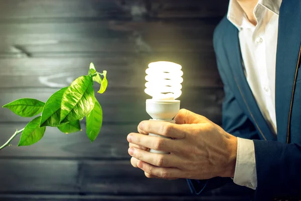 Hombre sosteniendo una luz brillante cerca del brote verde — Foto de Stock