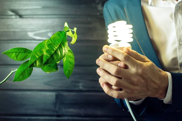 Hombre sosteniendo una luz brillante cerca del brote verde — Foto de Stock