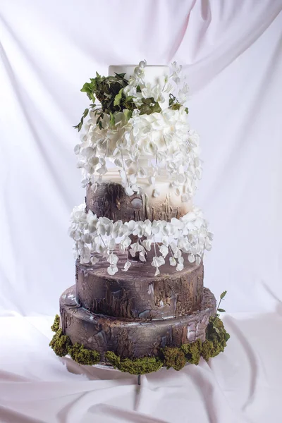 Pastel de boda en forma de tronco de madera y corteza —  Fotos de Stock