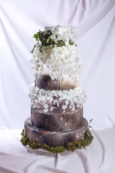 Bolo de casamento na forma de madeira de toco e casca — Fotografia de Stock