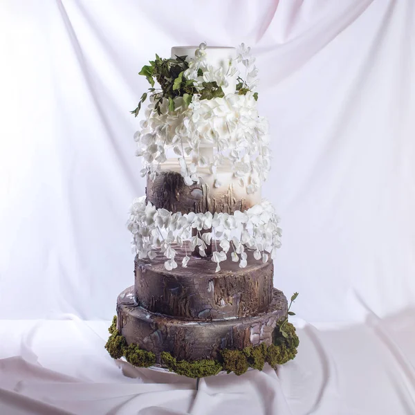 Düğün pastası güdük ahşap ve kabuk şeklinde — Stok fotoğraf