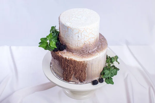 Bolo de casamento na forma de madeira de toco e casca — Fotografia de Stock