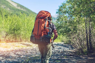 Güzel dağ ormanda güneş yaz hiking sırt çantası ile sağlıklı etkin adam