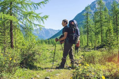 Güzel dağ ormanda güneş yaz hiking sırt çantası ile sağlıklı etkin adam