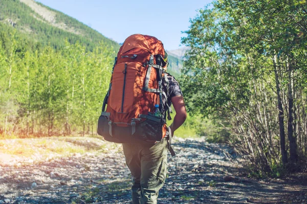 Healthy Active man with backpack hiking in beautiful mountain forest in the summer in the sun — Stock Photo, Image