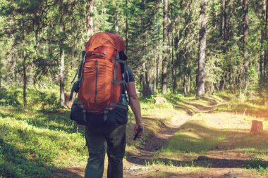 Güzel dağ ormanda güneş yaz hiking sırt çantası ile sağlıklı etkin adam