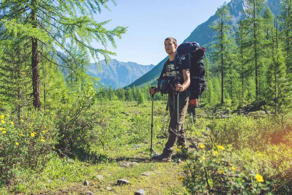 Güzel dağ ormanda güneş yaz hiking sırt çantası ile sağlıklı etkin adam