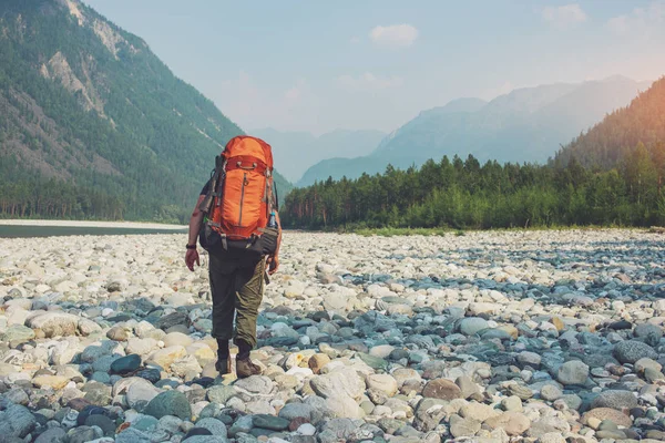 Healthy Active man with backpack hiking in beautiful mountain forest in the summer in the sun — Stock Photo, Image