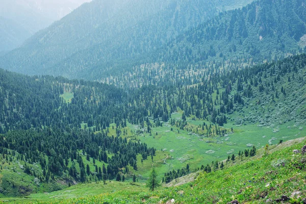 Panorama of a mountain valley covered with green forest in the fog — Stock Photo, Image