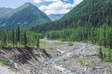 Dağ nehir orman ve kayalar arasında güzel manzara arka plan tepeler üzerinde