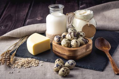 Eko çiftlik ürünleri süt, peynir, ekşi krema, yoğurt, koyu ahşap arka plan üzerinde yumurta. Ev yapımı doğal gıda kavramı