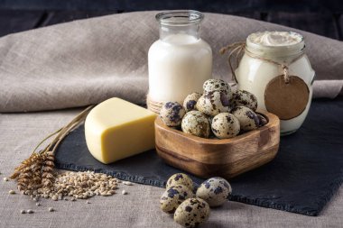 Eko çiftlik ürünleri süt, peynir, ekşi krema, yoğurt, koyu ahşap arka plan üzerinde yumurta. Ev yapımı doğal gıda kavramı