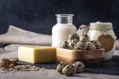 Eko çiftlik ürünleri süt, peynir, ekşi krema, yoğurt, koyu ahşap arka plan üzerinde yumurta. Ev yapımı doğal gıda kavramı