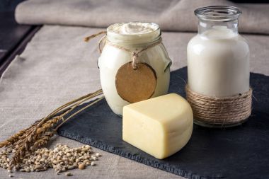 Eko çiftlik ürünleri süt, peynir, ekşi krema, koyu ahşap zemin üzerine yoğurt. Ev yapımı doğal gıda kavramı