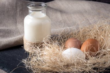 Eko çiftlik ürünleri süt, yoğurt, koyu ahşap arka plan üzerinde yumurta. Ev yapımı doğal gıda kavramı