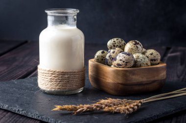 Eko çiftlik ürünleri süt, yoğurt, koyu ahşap arka plan üzerinde yumurta. Ev yapımı doğal gıda kavramı