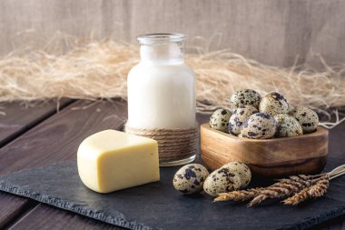 Eko çiftlik ürünleri süt, peynir, yoğurt, koyu ahşap arka plan üzerinde yumurta. Ev yapımı doğal gıda kavramı