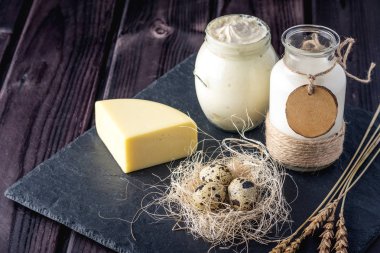 Eko çiftlik ürünleri süt, peynir, ekşi krema, yoğurt, koyu ahşap arka plan üzerinde yumurta. Ev yapımı doğal gıda kavramı