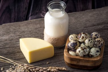 Eko çiftlik ürünleri süt, peynir, yoğurt, koyu ahşap arka plan üzerinde yumurta. Ev yapımı doğal gıda kavramı