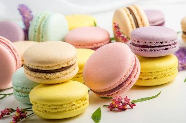 Renkli macarons yaprakları ve beyaz zemin üzerine kırmızı çiçekler ile. Fransız hassas tatlı