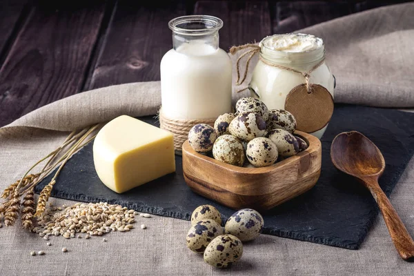 Eko çiftlik ürünleri süt, peynir, ekşi krema, yoğurt, koyu ahşap arka plan üzerinde yumurta. Ev yapımı doğal gıda kavramı