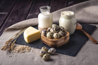 Eko çiftlik ürünleri süt, peynir, ekşi krema, yoğurt, koyu ahşap arka plan üzerinde yumurta. Ev yapımı doğal gıda kavramı
