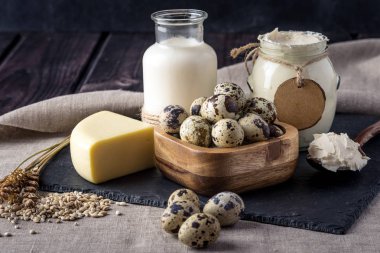 Eko çiftlik ürünleri süt, peynir, ekşi krema, yoğurt, koyu ahşap arka plan üzerinde yumurta. Ev yapımı doğal gıda kavramı