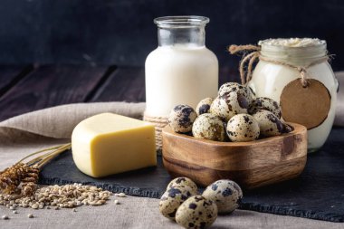 Eko çiftlik ürünleri süt, peynir, ekşi krema, yoğurt, koyu ahşap arka plan üzerinde yumurta. Ev yapımı doğal gıda kavramı