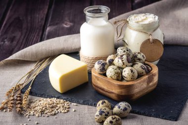 Eko çiftlik ürünleri süt, peynir, ekşi krema, yoğurt, koyu ahşap arka plan üzerinde yumurta. Ev yapımı doğal gıda kavramı