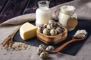 Eko çiftlik ürünleri süt, peynir, ekşi krema, yoğurt, koyu ahşap arka plan üzerinde yumurta. Ev yapımı doğal gıda kavramı