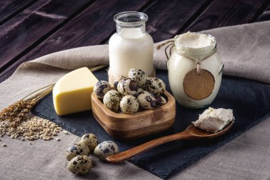 Eko çiftlik ürünleri süt, peynir, ekşi krema, yoğurt, koyu ahşap arka plan üzerinde yumurta. Ev yapımı doğal gıda kavramı
