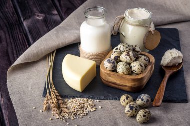 Eko çiftlik ürünleri süt, peynir, ekşi krema, yoğurt, koyu ahşap arka plan üzerinde yumurta. Ev yapımı doğal gıda kavramı