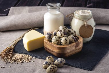 Eko çiftlik ürünleri süt, peynir, ekşi krema, yoğurt, koyu ahşap arka plan üzerinde yumurta. Ev yapımı doğal gıda kavramı