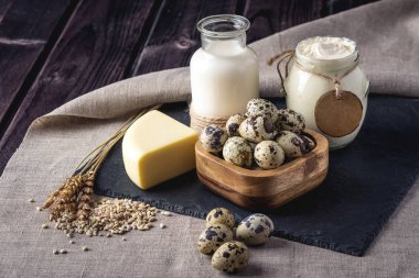 Eko çiftlik ürünleri süt, peynir, ekşi krema, yoğurt, koyu ahşap arka plan üzerinde yumurta. Ev yapımı doğal gıda kavramı
