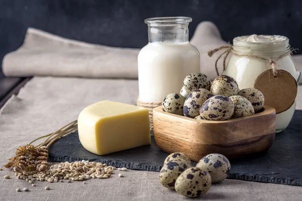 Eko çiftlik ürünleri süt, peynir, ekşi krema, yoğurt, koyu ahşap arka plan üzerinde yumurta. Ev yapımı doğal gıda kavramı