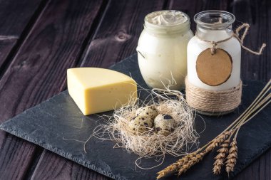 Eko çiftlik ürünleri süt, peynir, ekşi krema, yoğurt, koyu ahşap arka plan üzerinde yumurta. Ev yapımı doğal gıda kavramı