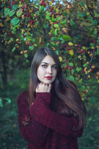 Portrét ženy v červených šatech v tmavé podzimní cherry grove. Koncept pro módní umění design jako pozadí pro text — Stock fotografie