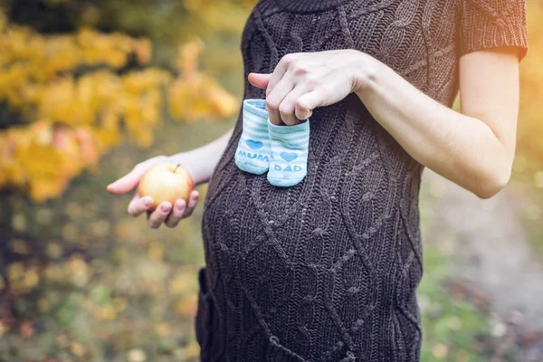 Porträt einer schwangeren Frau mit Booties auf dem Bauch im herbstlichen Wald. Konzept der Schwangerschaft und der Jahreszeiten — Stockfoto