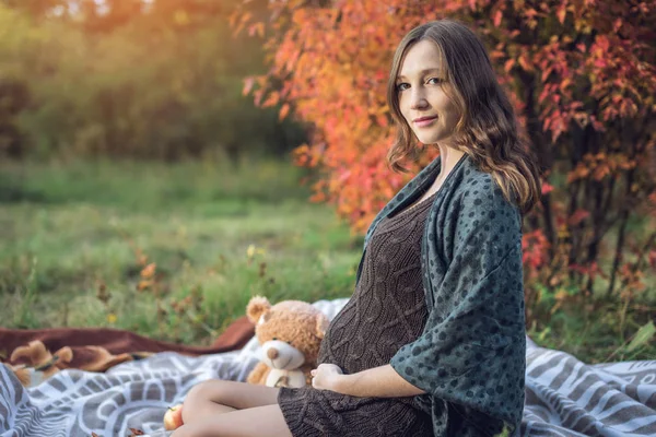 Bir mide ile bekleyen anne battaniye üzerinde oturur ve bebeğe anlatır. Gebelik ve sonbahar uyum kavramı