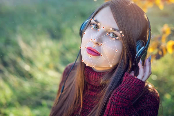 Poligonal ızgara üzerinde yüz tanıma teknoloji kavramı bu noktaları tarafından inşa edilmiştir güvenlik ve koruma kimliği