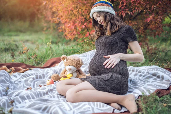 Bir mide ile bekleyen anne battaniye üzerinde oturur ve bebeğe anlatır. Gebelik ve sonbahar uyum kavramı